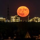 Vollmond am 04.06.2023