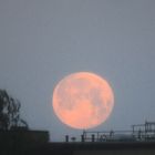 Vollmond am 06.06.20 