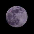 VOLLMOND am 07.04.2020 