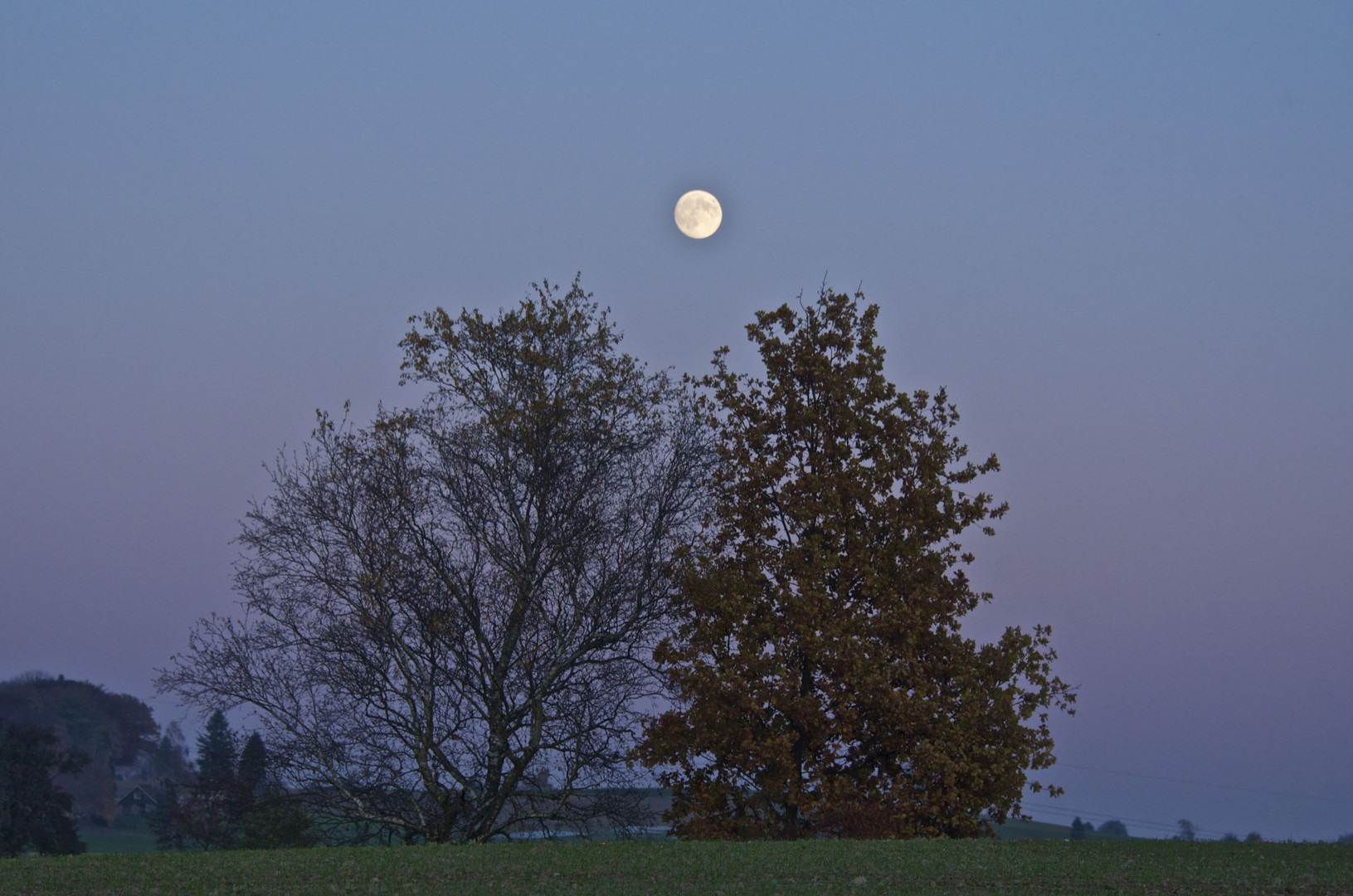 Vollmond am 10 Nov 2011