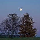 Vollmond am 10 Nov 2011