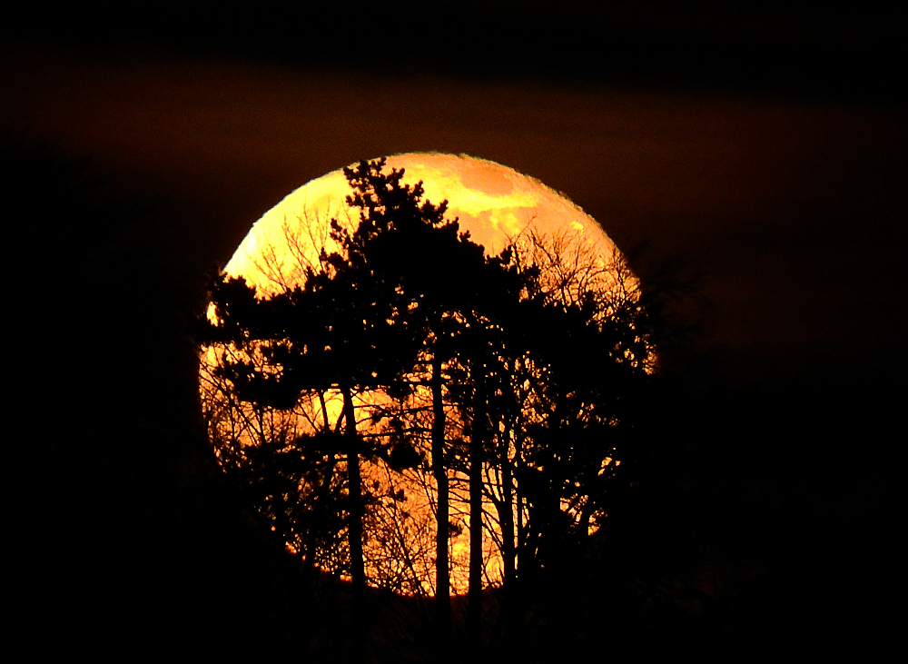 Vollmond am 11.01.2020