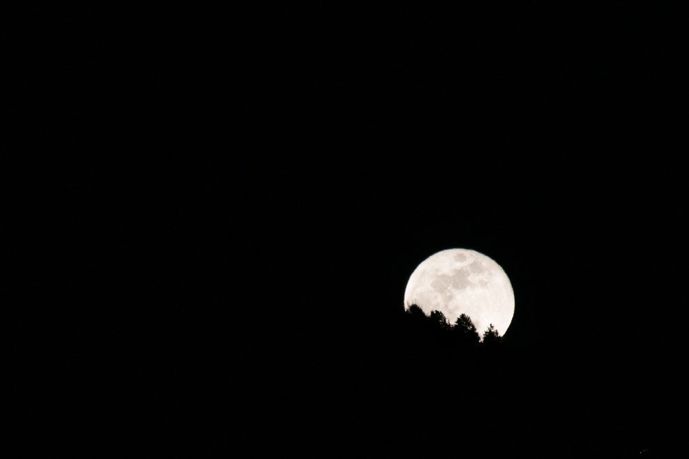 Vollmond am 11.02.2017