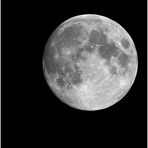 Vollmond am 13.8.2011