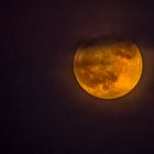 VOLLMOND am 15.05.2022 um 21:12 Uhr