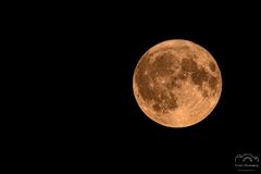 *** Vollmond am 19.08.2024 *** 