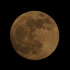 Vollmond am 21.01.2019