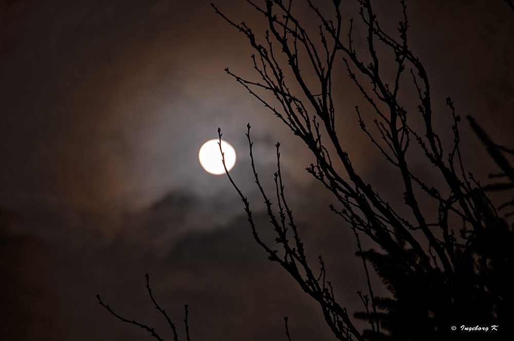 Vollmond am 30. 11. 2012 - rechtzeitig zum Advent