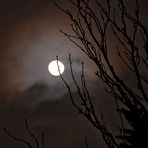 Vollmond am 30. 11. 2012 - rechtzeitig zum Advent