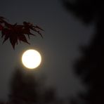 Vollmond am 31. 9. 2012