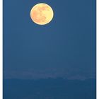 Vollmond am Bodensee