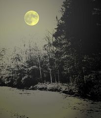 Vollmond am Fluss