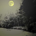 Vollmond am Fluss