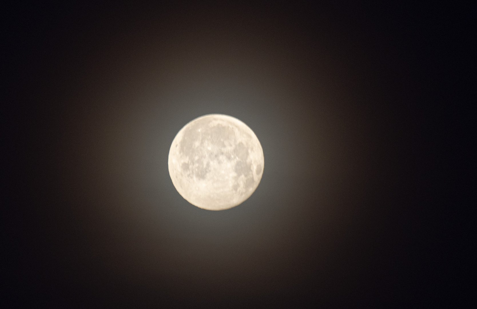 Vollmond am frühen Wintermorgen 