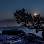 Vollmond am Lilienstein