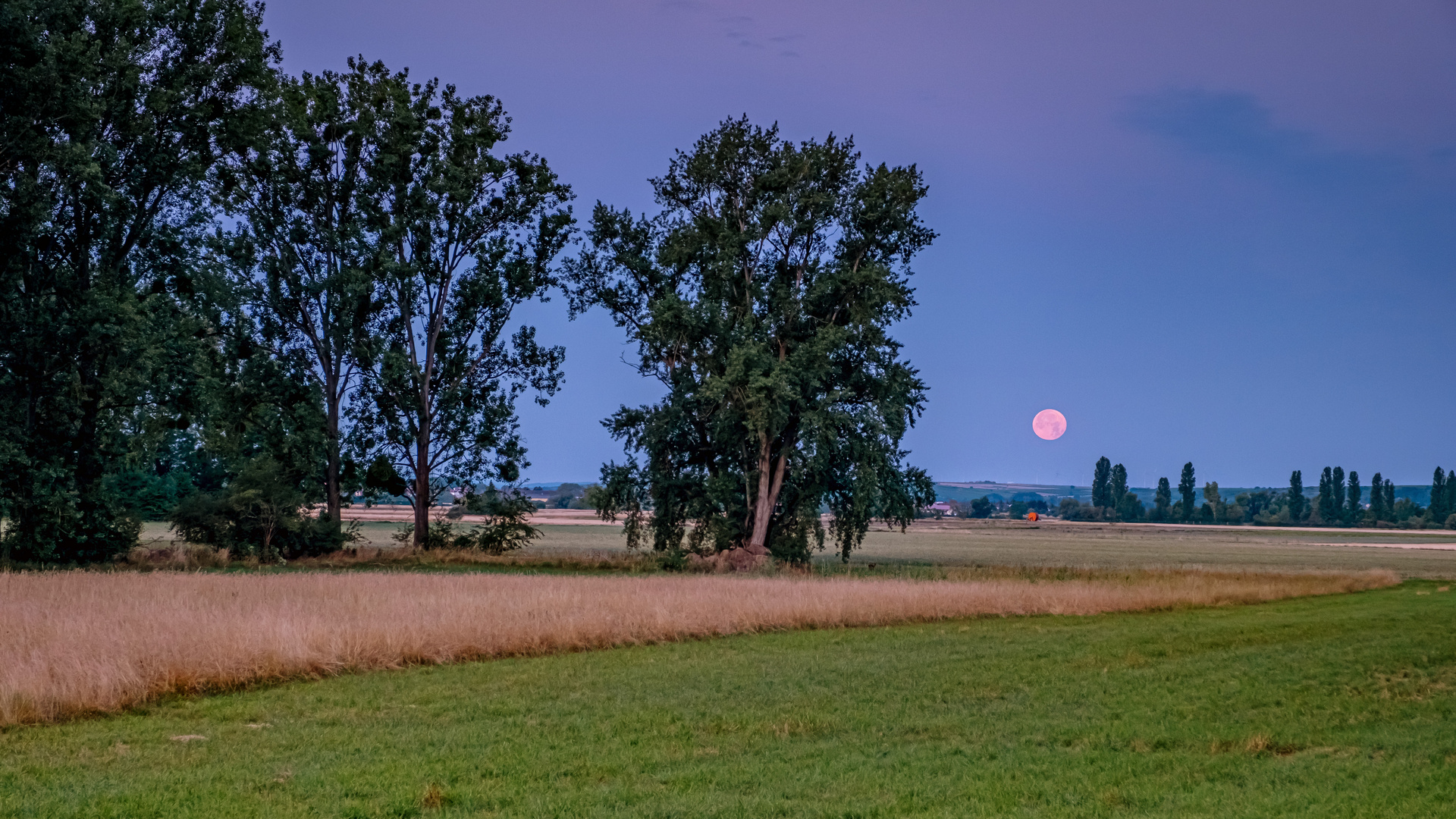 Vollmond am Morgen