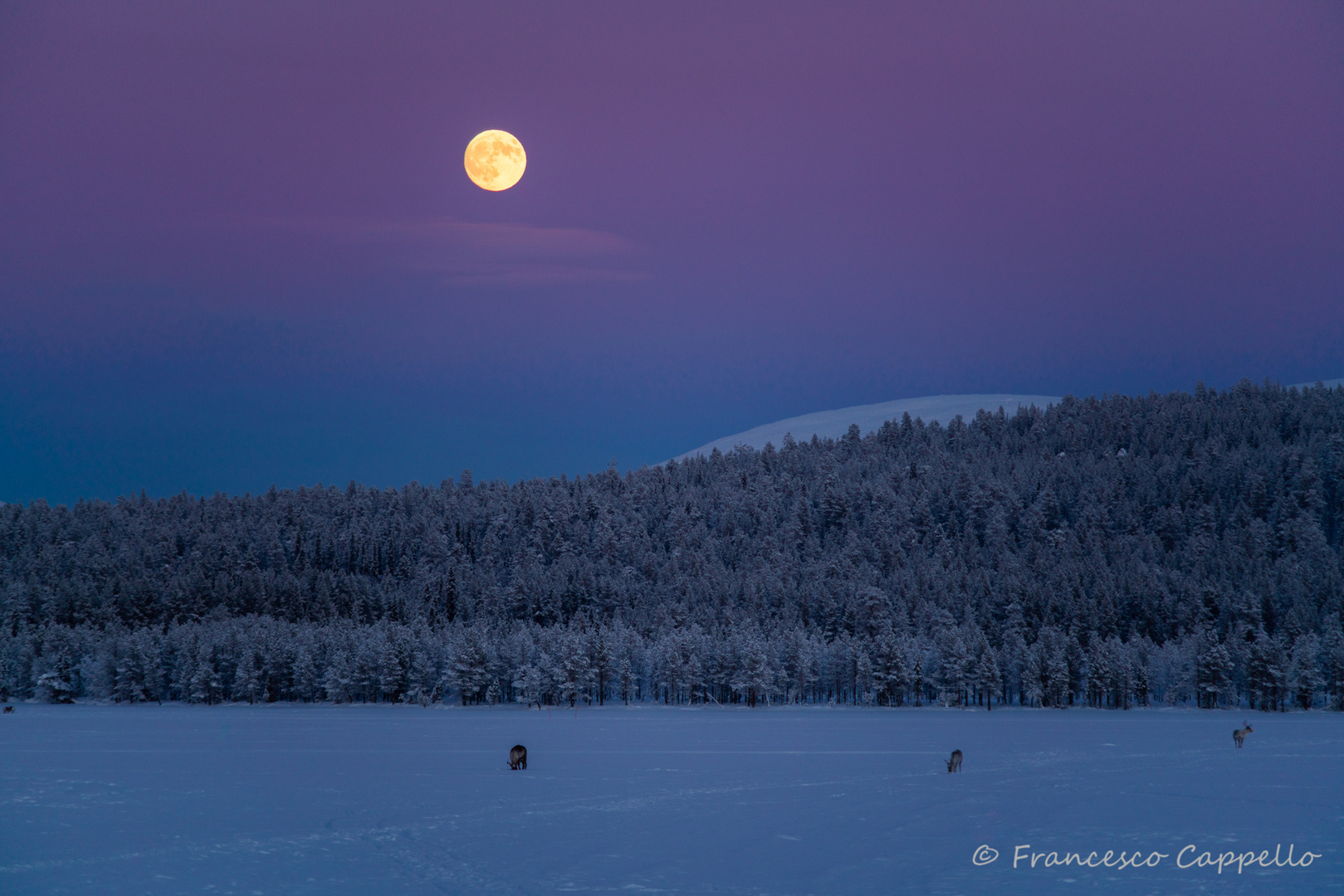 Vollmond am Nachmittag