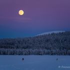 Vollmond am Nachmittag