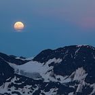 Vollmond am Ortler