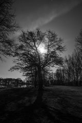 Vollmond am Reihersee