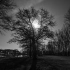 Vollmond am Reihersee