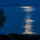 Vollmond am See