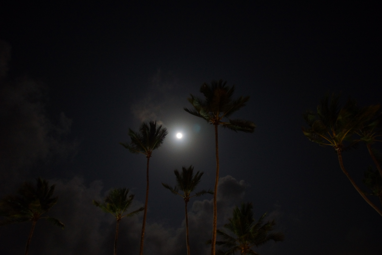 Vollmond am Strand von Sansibar