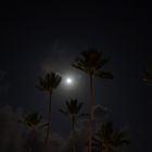 Vollmond am Strand von Sansibar