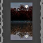 Vollmond am Weiher