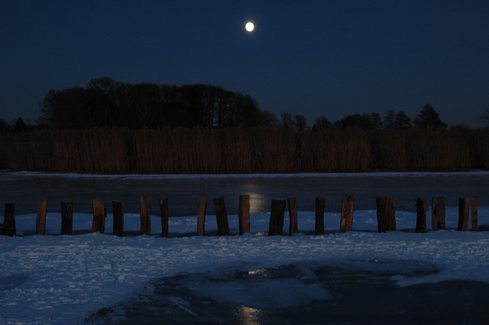 Vollmond am zugefrorenen Dümmer See