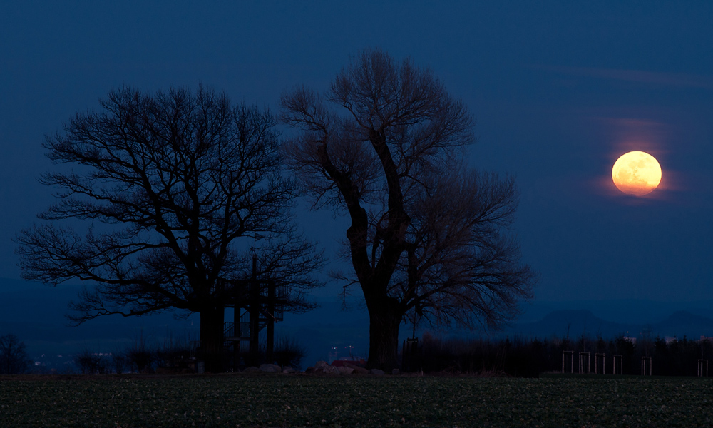 Vollmond an der Babisnauer Pappel