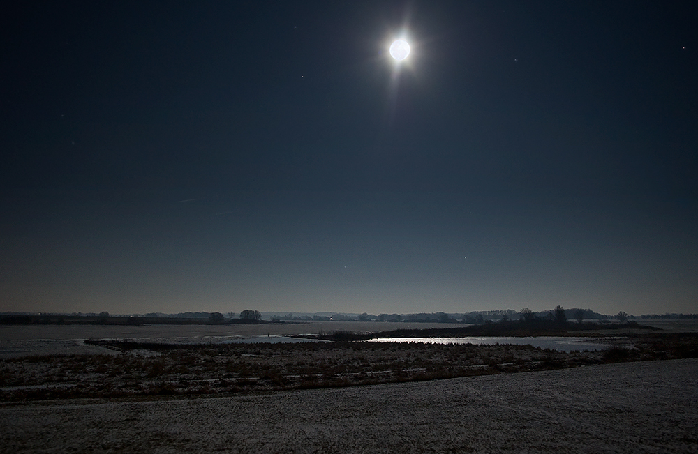 Vollmond an der Elbe