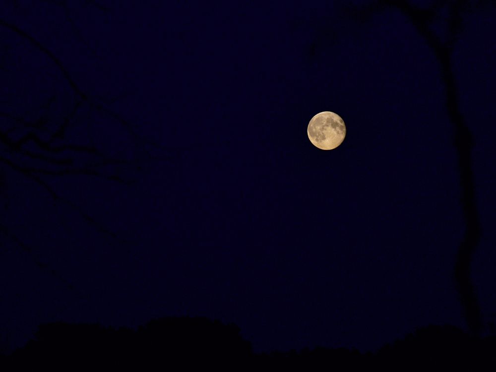 Vollmond an der Peene