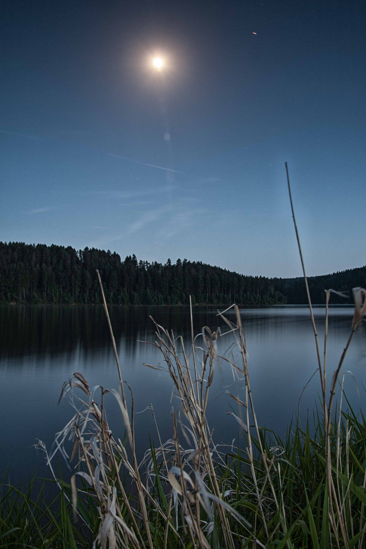 Vollmond an der Ratscher