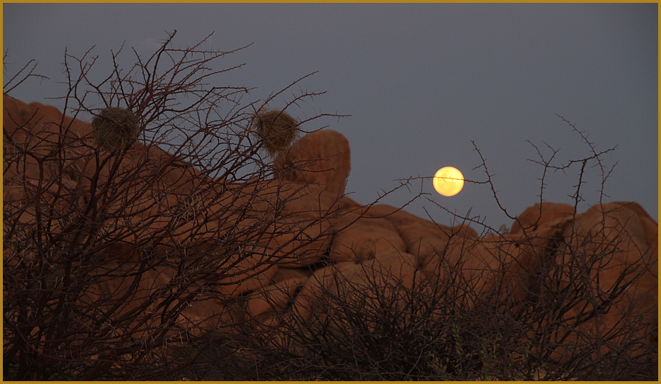 Vollmond an Vogelnestern Namibia Ca-col