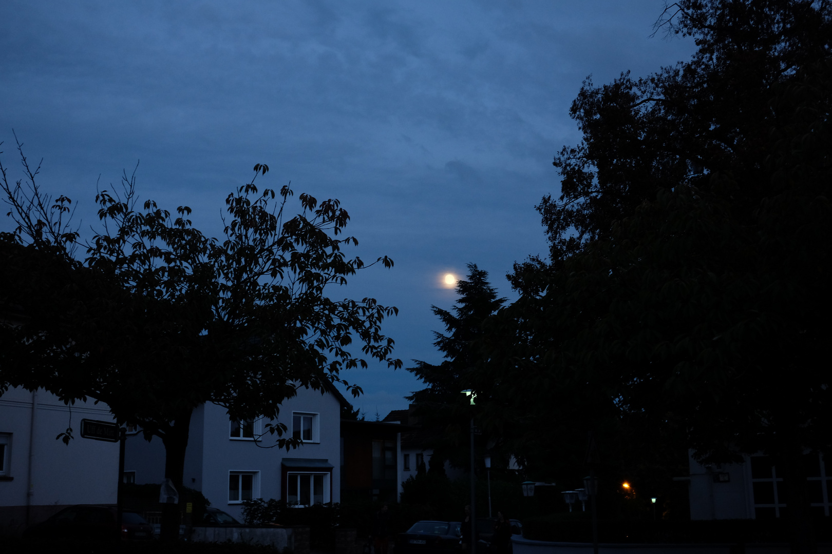 Vollmond auf dem Homburg