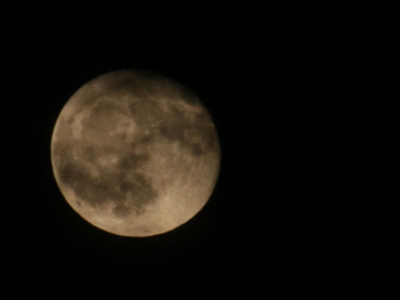 Vollmond auf ein neues...