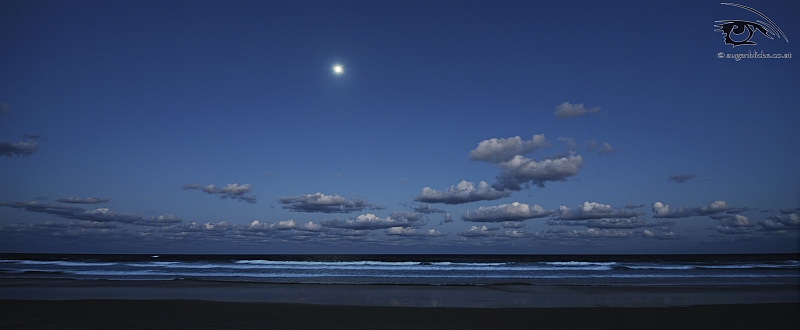 Vollmond auf Fraser Island