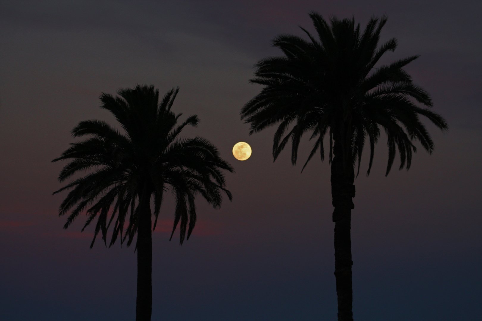 Vollmond auf Gran Canaria