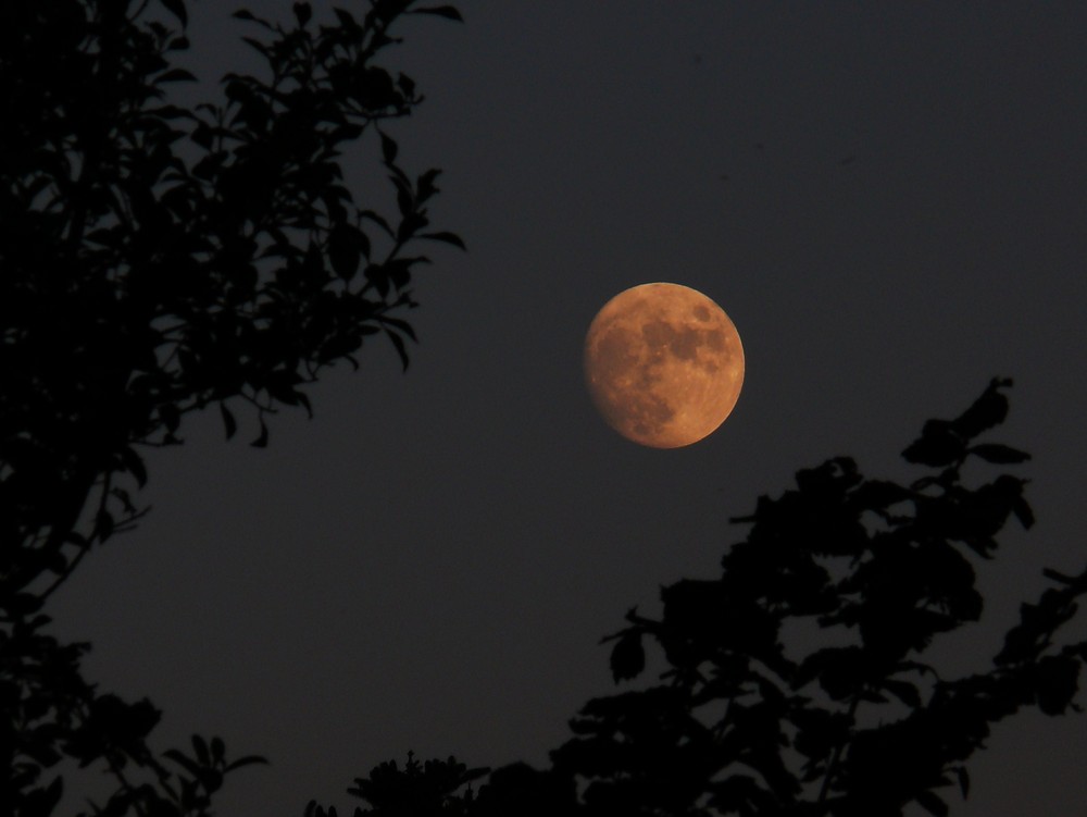 Vollmond auf Langeoog