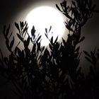 Vollmond auf Mallorca