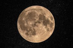 ~ VOLLMOND ~
