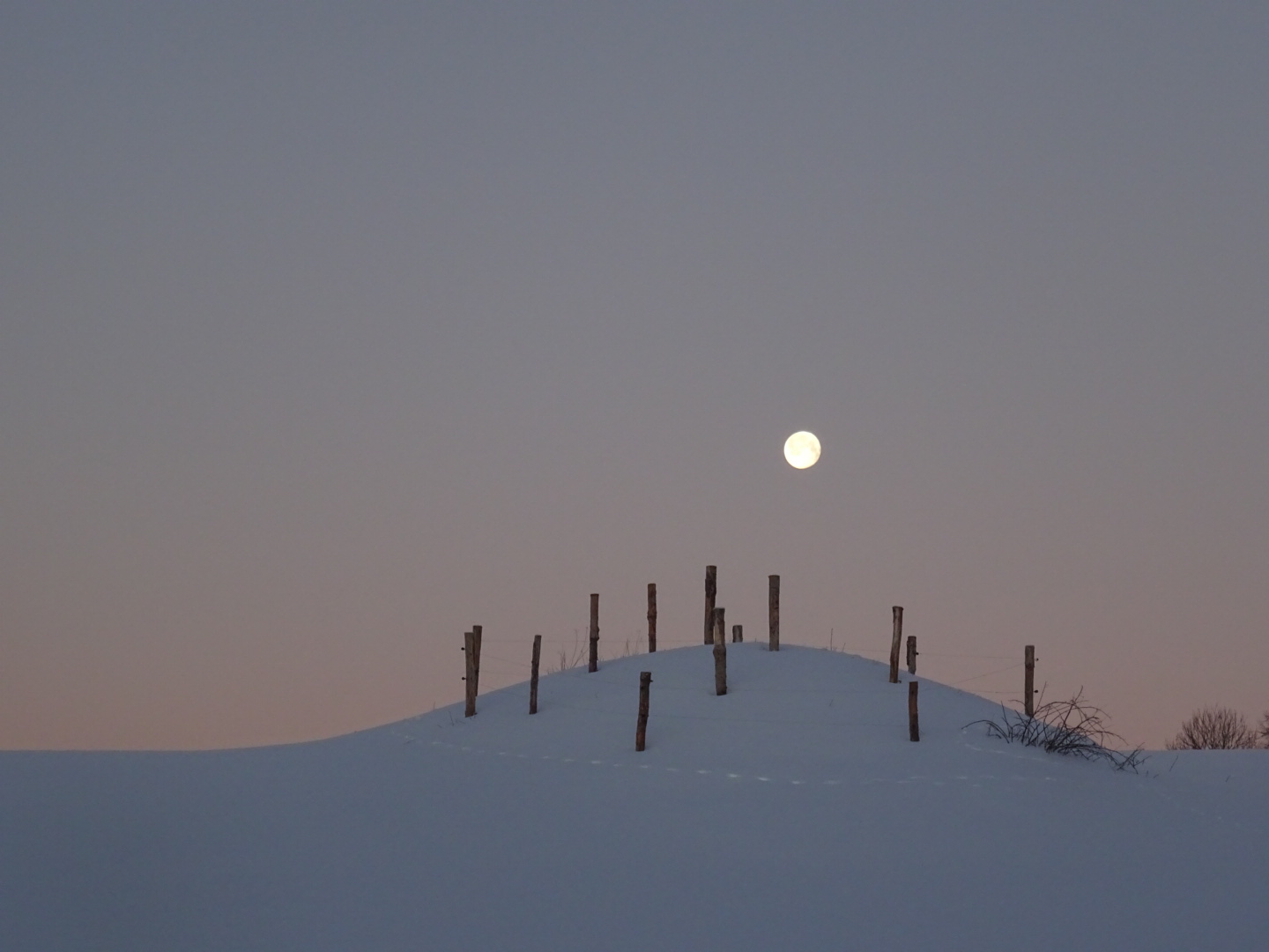 Vollmond bei -12 Grad 