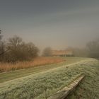 Vollmond, bei -5 °C und Nebel - Morgens um 04:00