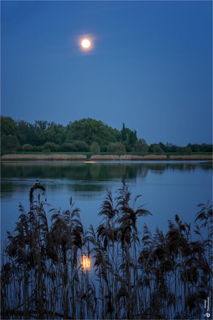 Vollmond bei Athensleben