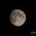 Vollmond bei klarem Himmel