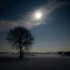 Vollmond bei Schnee