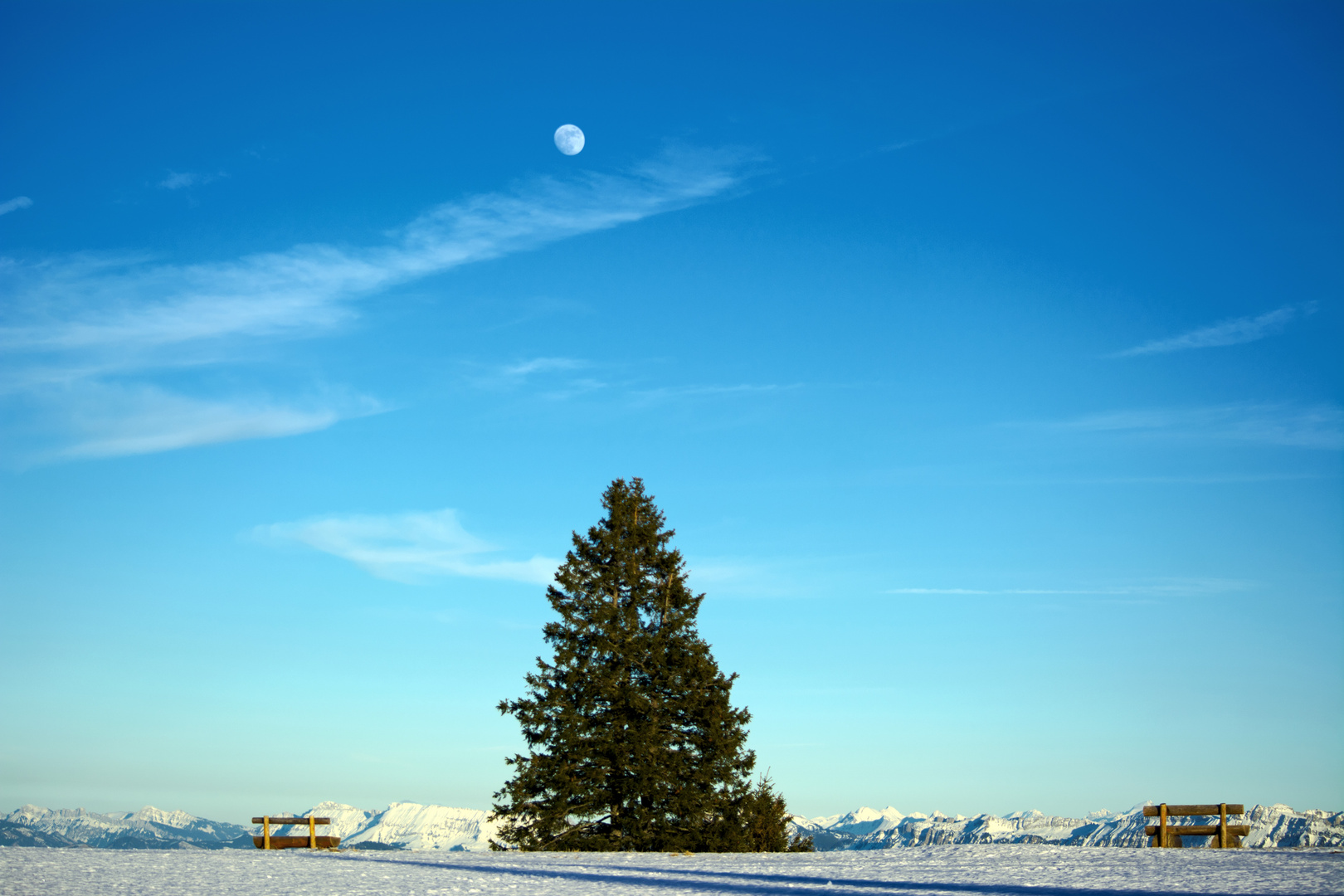 Vollmond bei Tag