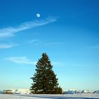 Vollmond bei Tag