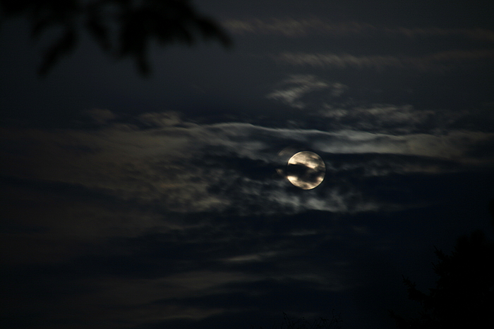 Vollmond beim Versteckspiel